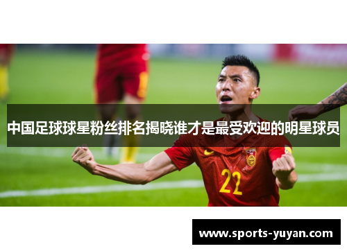 中国足球球星粉丝排名揭晓谁才是最受欢迎的明星球员